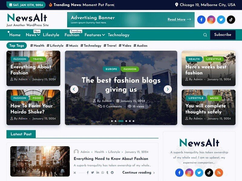 newsalt wordpress themes
